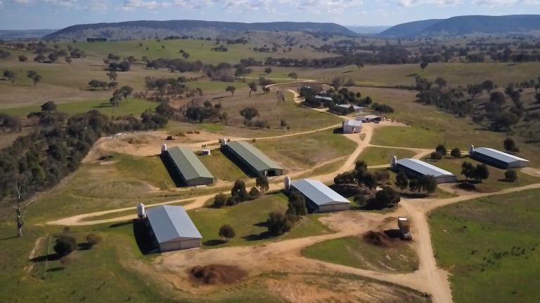 Birds Eye View - Enviroganic Farm